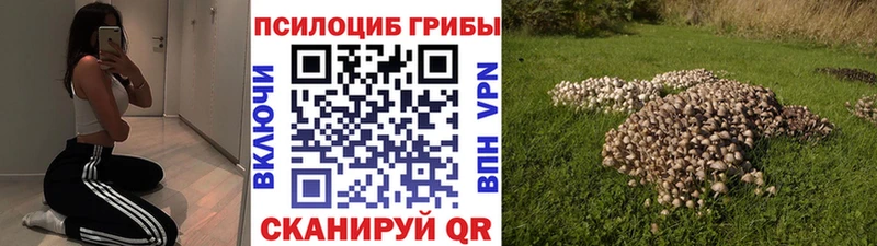 где купить наркотик  omg ссылка  Галлюциногенные грибы Magic Shrooms  Похвистнево 